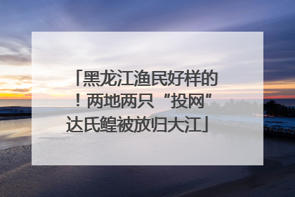 黑龙江渔民好样的！两地两只“投网”达氏鳇被放归大江