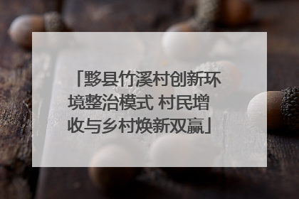黟县竹溪村创新环境整治模式 村民增收与乡村焕新双赢