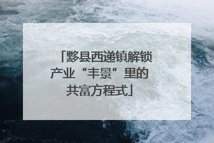 黟县西递镇解锁产业“丰景”里的共富方程式