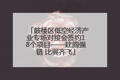 鼓楼区低空经济产业专场对接会签约18个项目——建圈强链 比翼齐飞