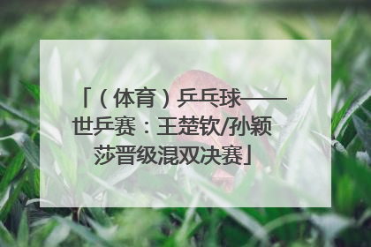（体育）乒乓球——世乒赛：王楚钦/孙颖莎晋级混双决赛