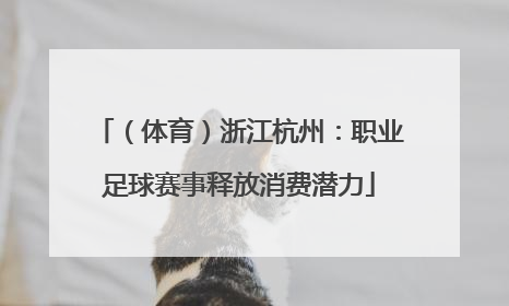 （体育）浙江杭州：职业足球赛事释放消费潜力