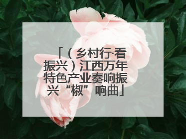 （乡村行·看振兴）江西万年特色产业奏响振兴“椒”响曲