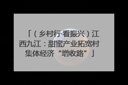 （乡村行·看振兴）江西九江：甜蜜产业拓宽村集体经济“增收路”