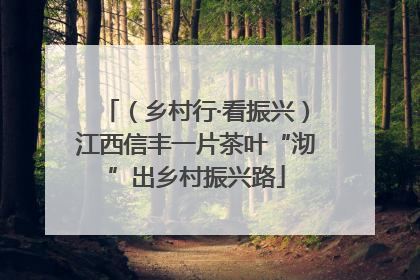 （乡村行·看振兴）江西信丰一片茶叶“沏”出乡村振兴路