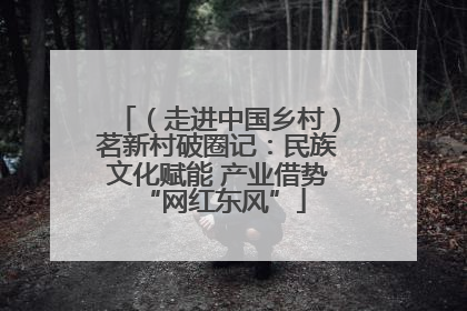 （走进中国乡村）茗新村破圈记：民族文化赋能 产业借势 “网红东风”