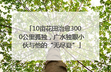 10亩花田治愈3000公里孤独，广水独眼小伙与他的“无尽夏”
