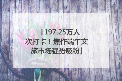 197.25万人次打卡！焦作端午文旅市场强势吸粉