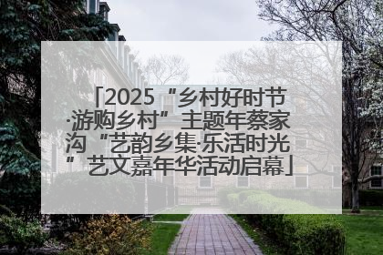 2025“乡村好时节·游购乡村”主题年蔡家沟“艺韵乡集·乐活时光”艺文嘉年华活动启幕