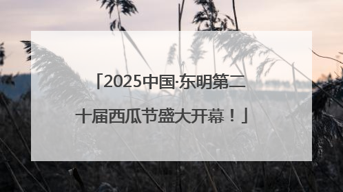 2025中国·东明第二十届西瓜节盛大开幕！