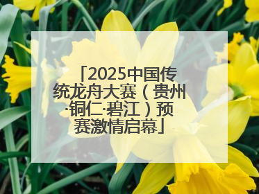 2025中国传统龙舟大赛（贵州·铜仁·碧江）预赛激情启幕