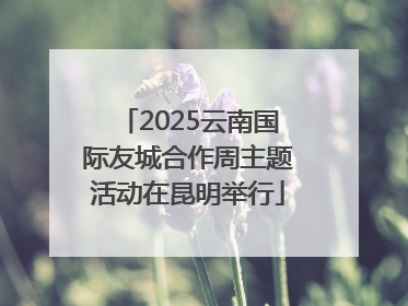 2025云南国际友城合作周主题活动在昆明举行