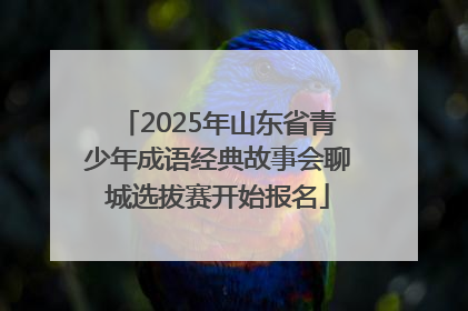 2025年山东省青少年成语经典故事会聊城选拔赛开始报名