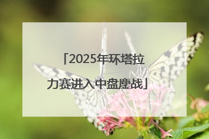 2025年环塔拉力赛进入中盘鏖战