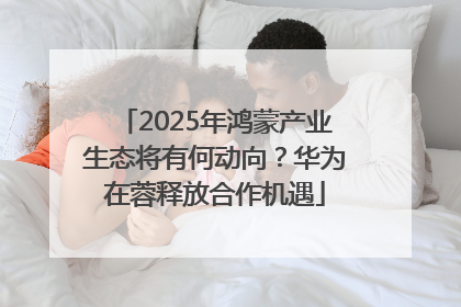 2025年鸿蒙产业生态将有何动向？华为在蓉释放合作机遇