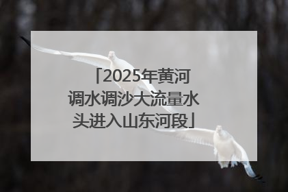 2025年黄河调水调沙大流量水头进入山东河段