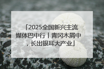 2025全国新兴主流媒体巴中行丨青冈木屑中，长出银耳大产业