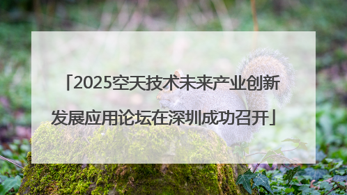 2025空天技术未来产业创新发展应用论坛在深圳成功召开