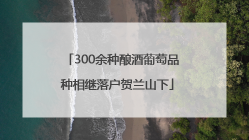 300余种酿酒葡萄品种相继落户贺兰山下
