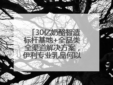 30亿奶酪智造标杆基地+全品类全渠道解决方案，伊利专业乳品何以成为 2025 焙烤展 MV