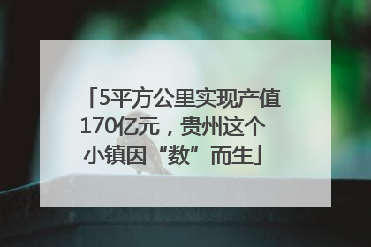 5平方公里实现产值170亿元，贵州这个小镇因“数”而生