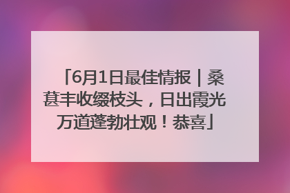 6月1日最佳情报｜桑葚丰收缀枝头，日出霞光万道蓬勃壮观！恭喜