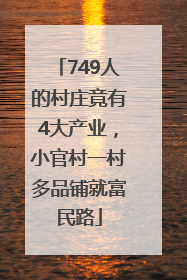 749人的村庄竟有4大产业，小官村一村多品铺就富民路