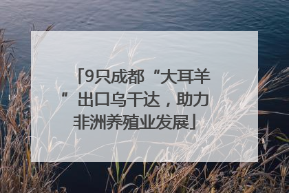 9只成都“大耳羊”出口乌干达，助力非洲养殖业发展
