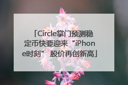 Circle掌门预测稳定币快要迎来“iPhone时刻” 股价再创新高