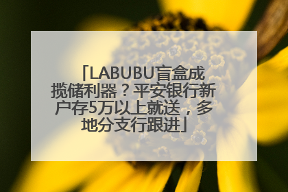 LABUBU盲盒成揽储利器？平安银行新户存5万以上就送，多地分支行跟进