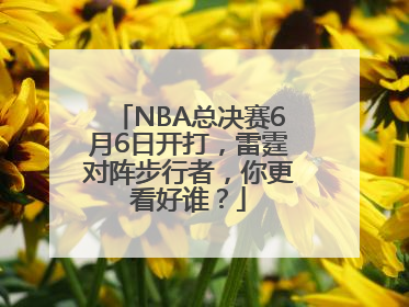 NBA总决赛6月6日开打，雷霆对阵步行者，你更看好谁？