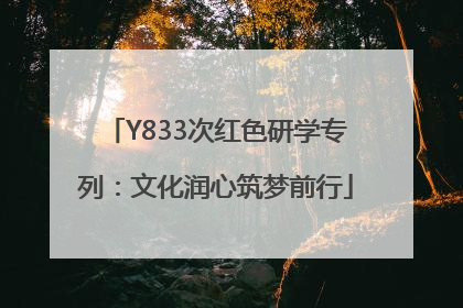 Y833次红色研学专列：文化润心筑梦前行
