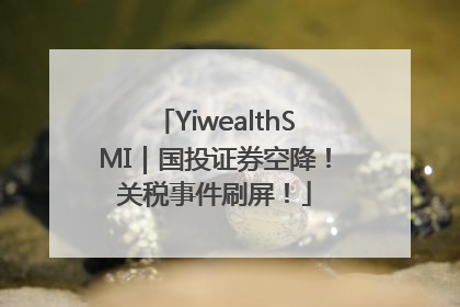 YiwealthSMI｜国投证券空降！关税事件刷屏！